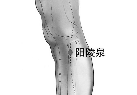 秋燥心烦 按压“泉”穴