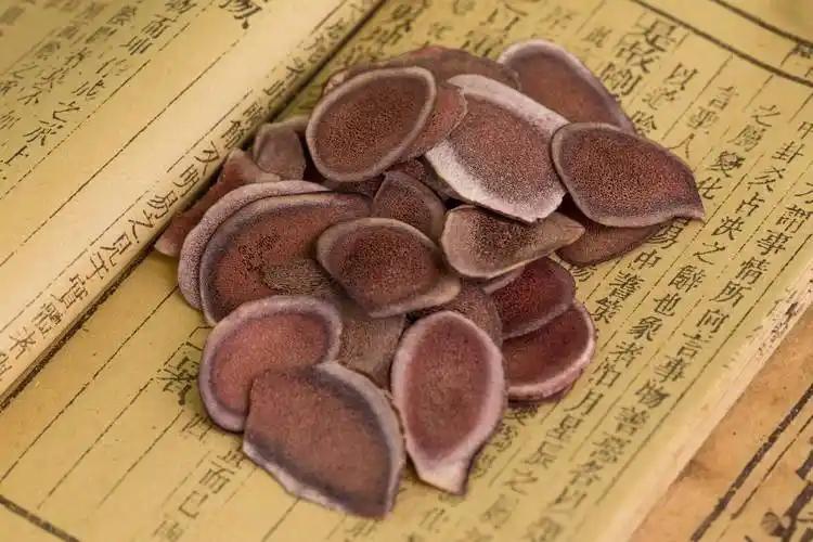 补虚要用血肉有情之品