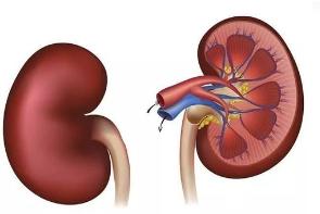 水肿是肾不好？不一定，护理时该咋分辨