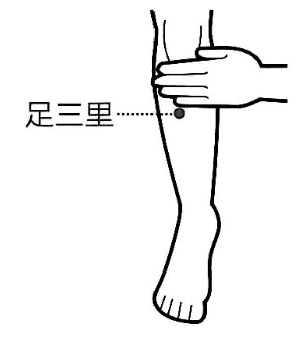 按足三里穴缓解胃痛