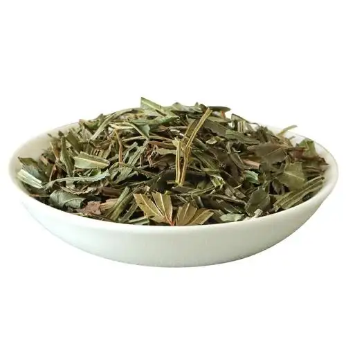 凤尾草