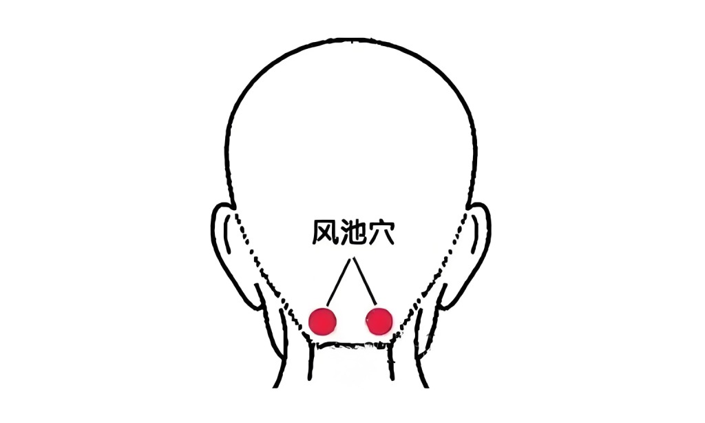 练中医导引功通经活络