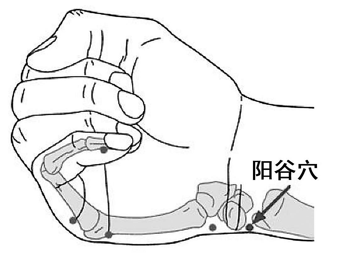 头面五官痛按阳谷