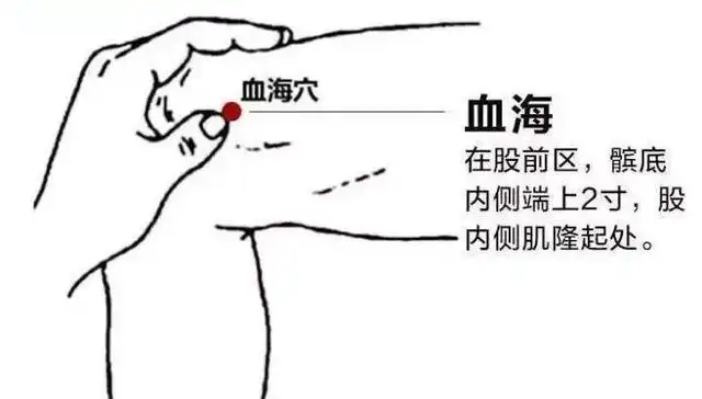 血海穴：补血调经，化瘀生新