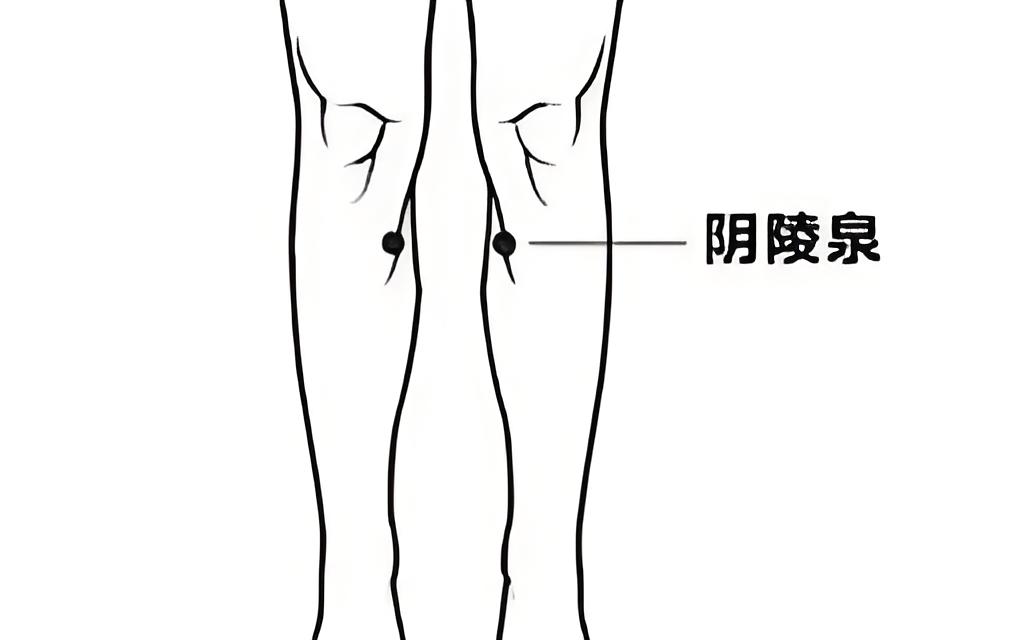 按阴陵泉穴健脾利湿