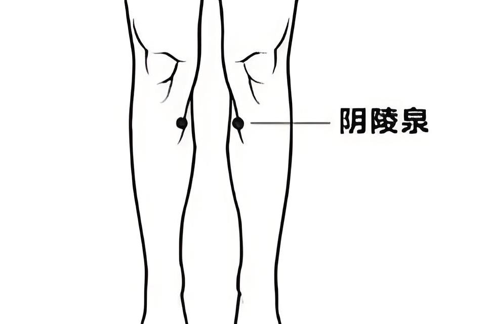 按阴陵泉穴健脾利湿