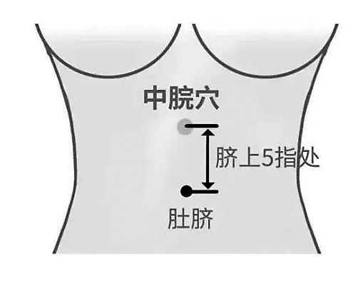 伏天按穴位治脾胃不和