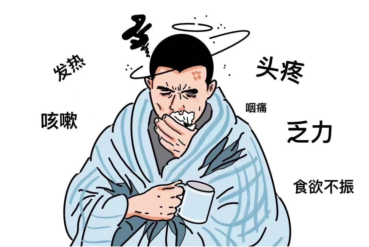 探索中医内科：感冒的中医辩证与治疗