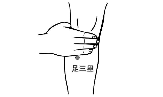 秋冬护胃中医之道