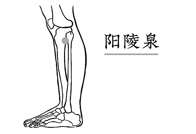 秋冬护胃中医之道