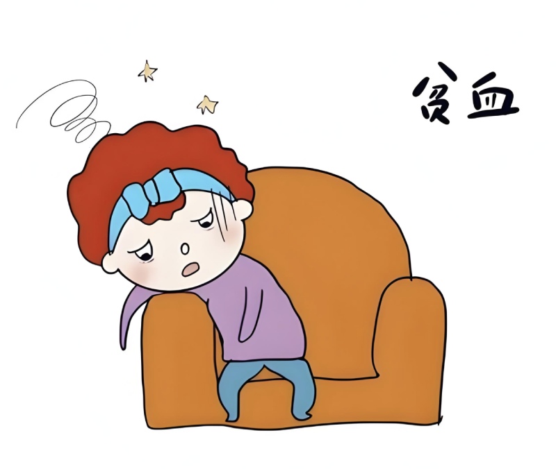 老年贫血的中医调理之道