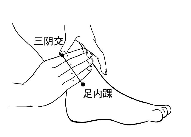老年贫血的中医调理之道