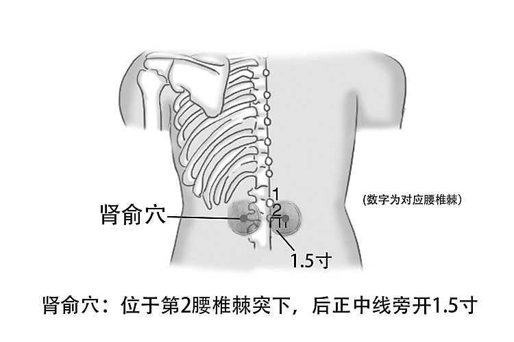 老年女性尿失禁中西医防治