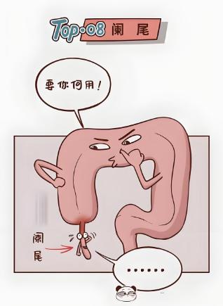 我的阑尾我做主——ERAT治疗术,守护肠道“小盲端”