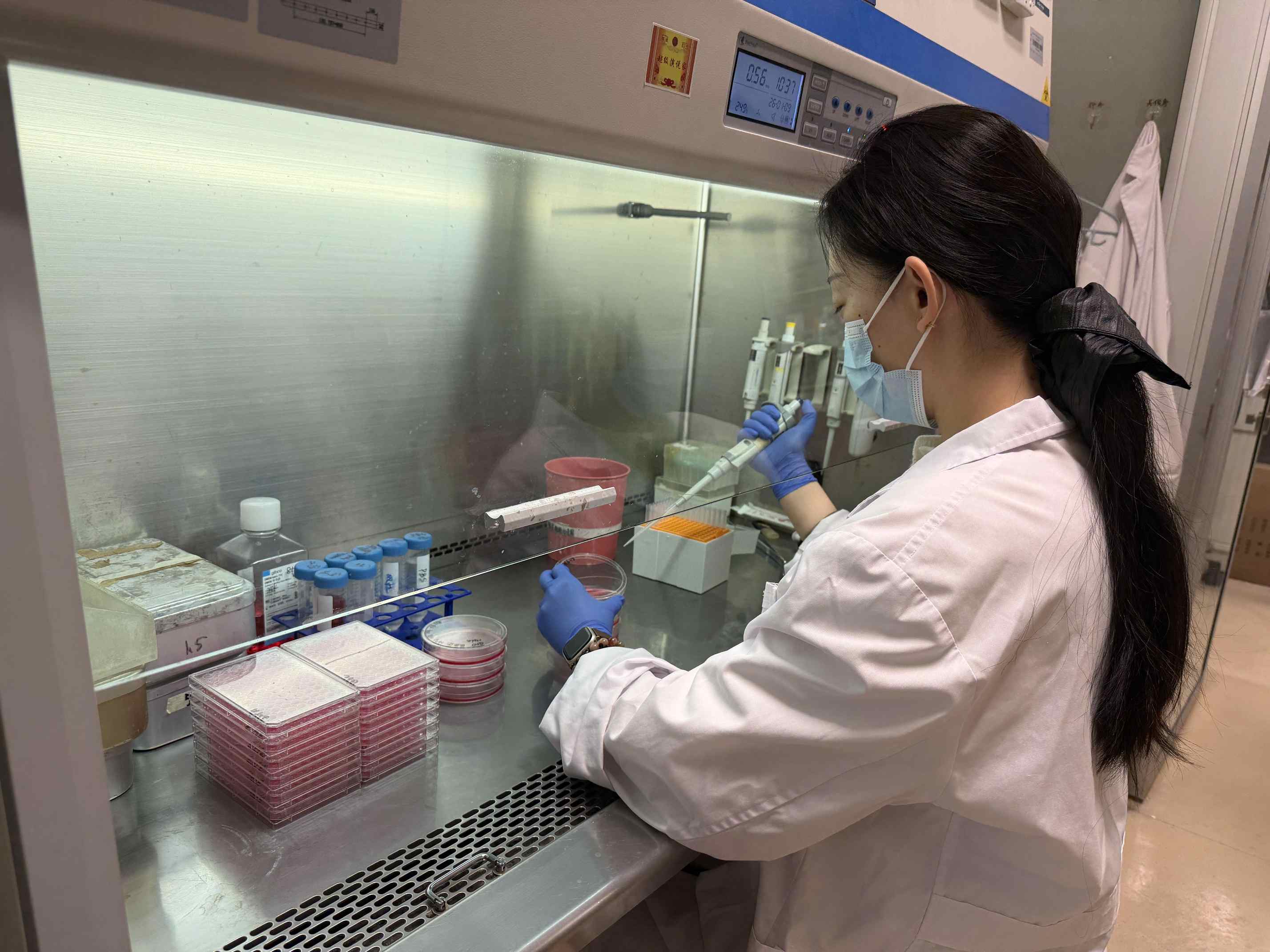 哈兽研在蓝舌病病毒疫苗研发领域取得重要突破