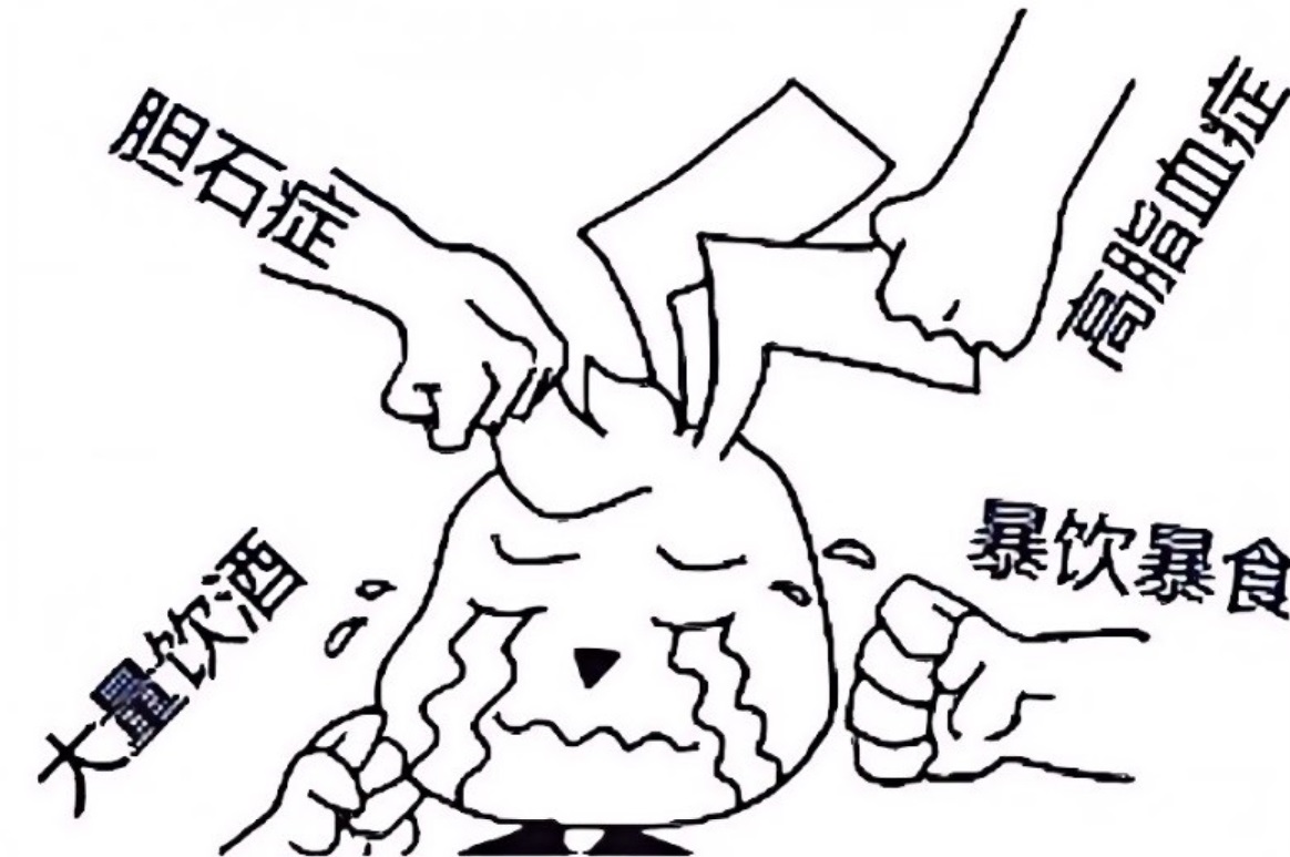 饱餐之后胃痛?警惕急性胰腺炎,别当成普通胃病